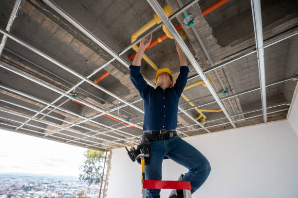Best Local Plumber Services  in Marlow Heights, MD